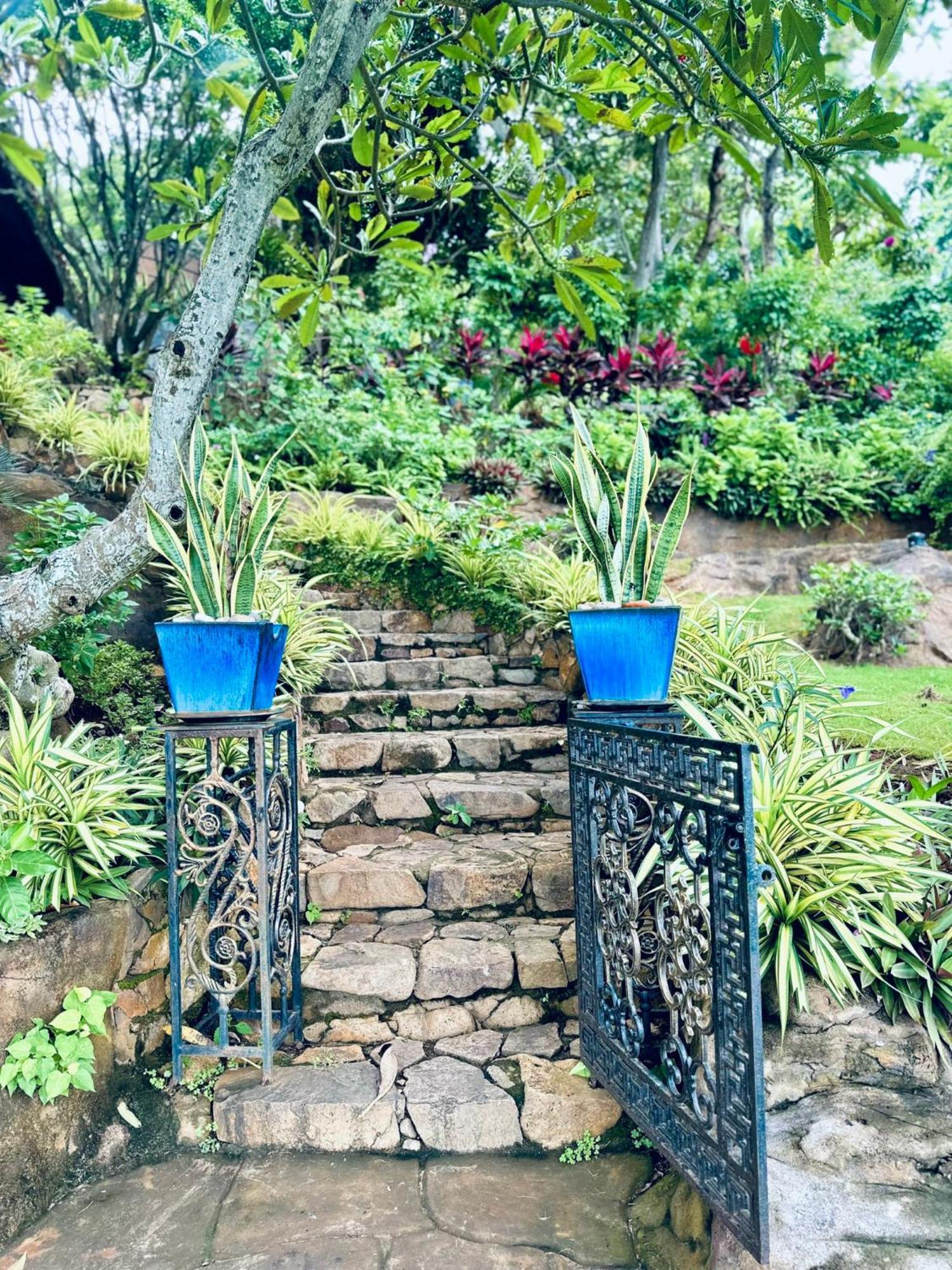 Binh An Village Vung Tau Zewnętrze zdjęcie